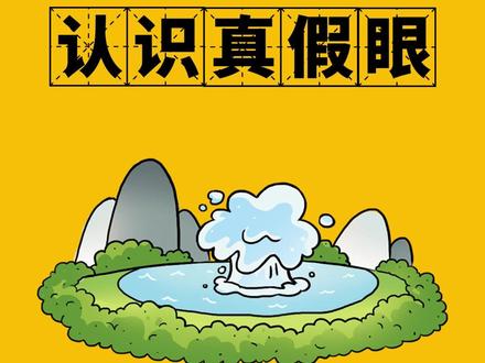 眼明心亮识真伪,手巧心慧创意多打一生肖的警惕虚假宣传-全面释义、解释与落实、前沿解答解释落实
